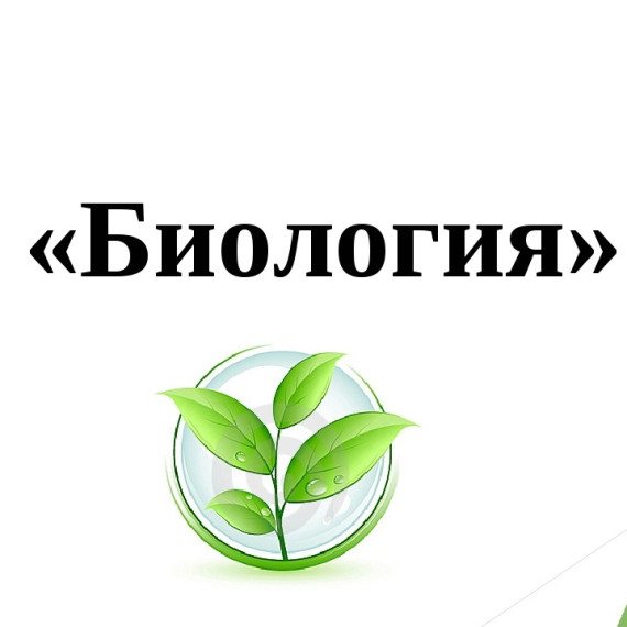Практические работы по биологии в нашем ЦДО "Точка роста"..