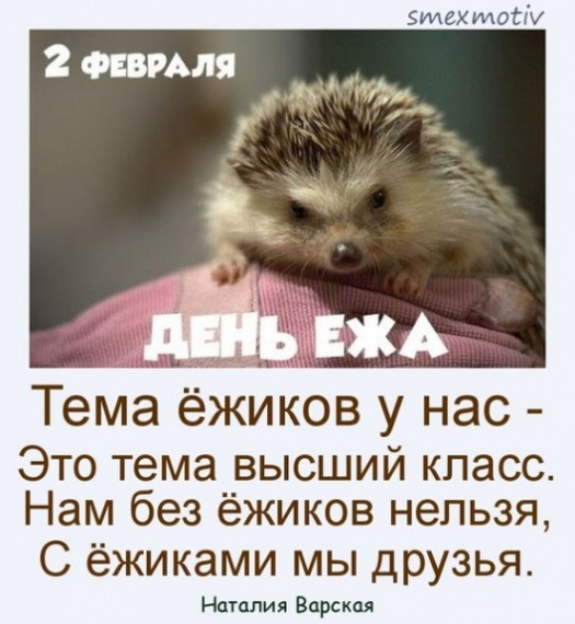 Третьеклассники отмечают День Ежа!.