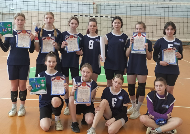 Соревнования по волейболу. Наши девчонки лучшие!.