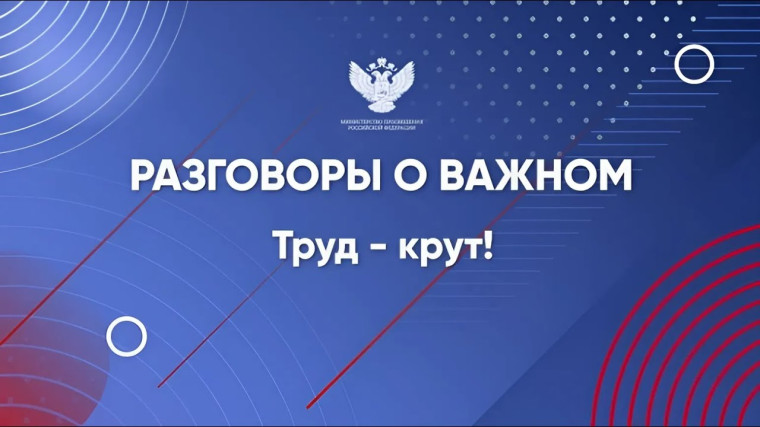 О студенческих отрядах из своего опыта..