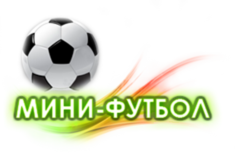 Наши серебряные призеры соревнований по мини - футболу..