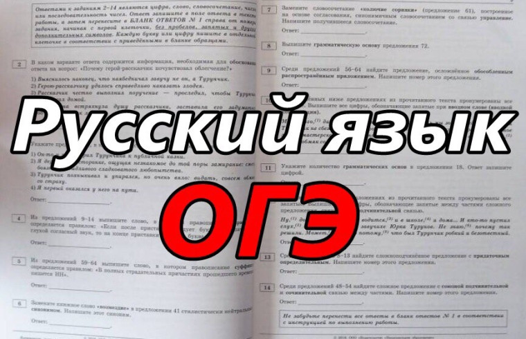 Сдаем ОГЭ по русскому языку только на хорошо и отлично!.