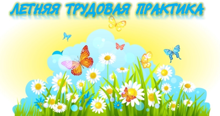 Школьное лето стартует!.